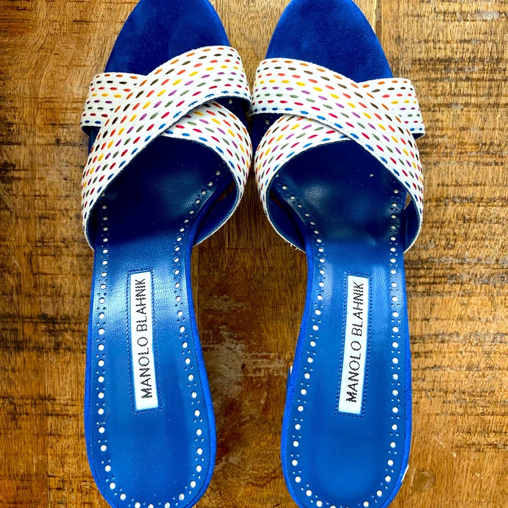 Gorgeous Multi-Colored Manolo Blahnik Sandals
